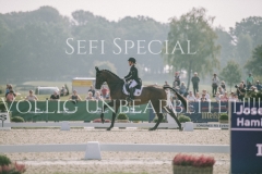 Josefa Sommer Hamilton 24 Luhmuehlen 2019