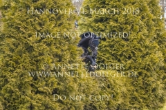 20180331-500_2259