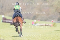 20180414-500_4746