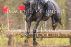 20180428-500_2327