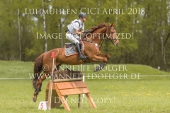 20180428-_D3S9474