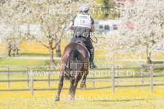 20180421-500_8351