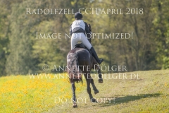 20180421-500_8392