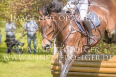 20180421-500_8796