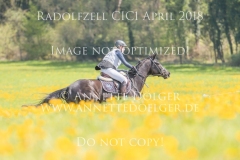 20180421-500_9455