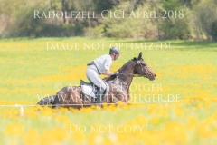 20180421-500_9515