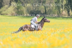20180421-500_9517