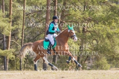 20180407-500_2784