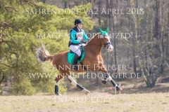 20180407-500_2785
