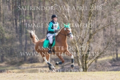 20180407-500_2787