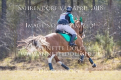 20180407-500_2796