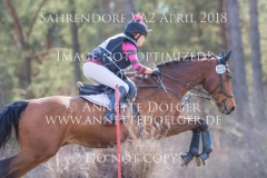 20180407-500_2854