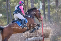 20180407-500_2911