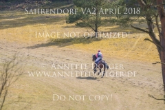 20180407-500_2914
