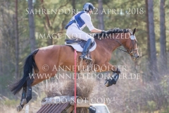 20180407-500_3009