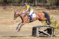 20180407-500_3022