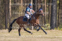 20180407-500_3048