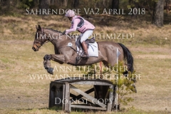 20180407-500_3103
