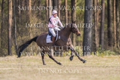 20180407-500_3112