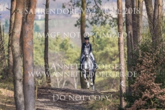 20180407-500_3145