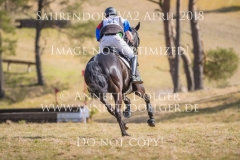 20180407-500_3335