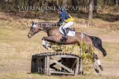 20180407-500_3347