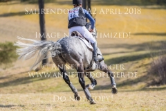 20180407-500_3387