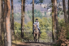 20180407-500_3451