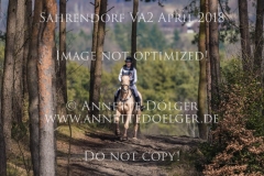 20180407-500_3452