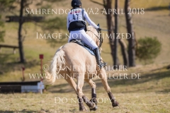 20180407-500_3477
