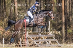20180407-500_3525
