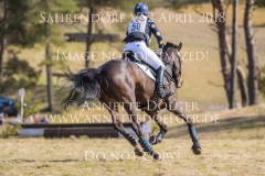 20180407-500_3535