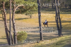 20180407-500_3765