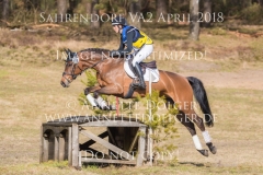 20180407-500_3809