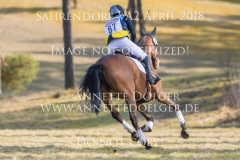 20180407-500_3822