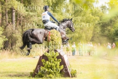 1_20180616-800_4306-2