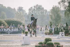 Josefa Sommer Hamilton 24 Luhmuehlen 2019