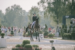 Josefa Sommer Hamilton 24 Luhmuehlen 2019