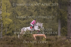 Shining Sox Isabell MEYER Luhmuehlen 2019