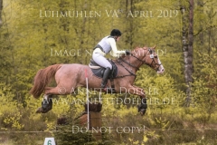 Veryan Green Gesine HOMANN-HOEPER Luhmuehlen 2019