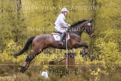 C'est la vie H Heike MEYERHOF Luhmuehlen 2019