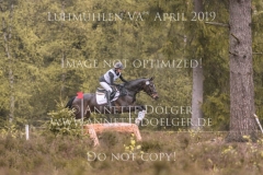 Collin S 4 Alicia von ZIEGNER Luhmuehlen 2019