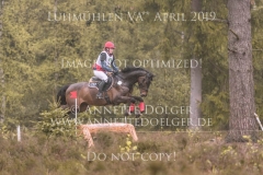 Crunchy Brown Finja BLIESEMANN Luhmuehlen 2019