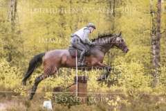 Deja-vu 24 Ruediger MEYER Luhmuehlen 2019