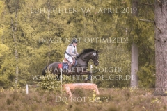 Miss Amour Mette-Stine FOLKMAR JAKOBSEN Luhmuehlen 2019