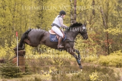 Miss Amour Mette-Stine FOLKMAR JAKOBSEN Luhmuehlen 2019