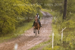 Schnells Color Mystery O Ditte HEDEGAARD Luhmuehlen 2019