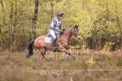 Top Job's Jalisco Elmar LESCH Luhmuehlen 2019