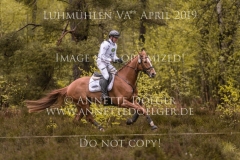 Quirinius 6 Andreas DIBOWSKI Luhmuehlen 2019