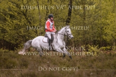 Newtownbarry Willow Stephan DUBSKY Luhmuehlen 2019